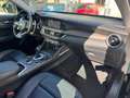 Alfa Romeo Stelvio 2.2 Turbodiesel 210 CV AT8 Q4 Ti Vert - thumbnail 21
