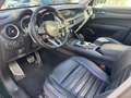 Alfa Romeo Stelvio 2.2 Turbodiesel 210 CV AT8 Q4 Ti Vert - thumbnail 10