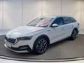 Skoda Sonstige OCT.COM SCOUT 2.0TSI DSG 4x4+AHK+DCC+Matrix Weiß - thumbnail 6