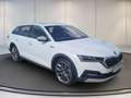 Skoda Sonstige OCT.COM SCOUT 2.0TSI DSG 4x4+AHK+DCC+Matrix Weiß - thumbnail 1