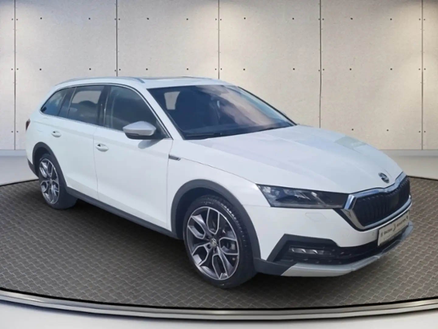 Skoda Sonstige OCT.COM SCOUT 2.0TSI DSG 4x4+AHK+DCC+Matrix Weiß - 1