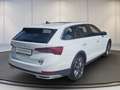 Skoda Sonstige OCT.COM SCOUT 2.0TSI DSG 4x4+AHK+DCC+Matrix Weiß - thumbnail 3