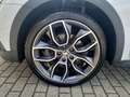 Skoda Sonstige OCT.COM SCOUT 2.0TSI DSG 4x4+AHK+DCC+Matrix Weiß - thumbnail 24