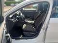 Skoda Sonstige OCT.COM SCOUT 2.0TSI DSG 4x4+AHK+DCC+Matrix Weiß - thumbnail 11