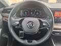 Skoda Sonstige OCT.COM SCOUT 2.0TSI DSG 4x4+AHK+DCC+Matrix Weiß - thumbnail 15