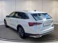 Skoda Sonstige OCT.COM SCOUT 2.0TSI DSG 4x4+AHK+DCC+Matrix Weiß - thumbnail 7