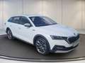Skoda Sonstige OCT.COM SCOUT 2.0TSI DSG 4x4+AHK+DCC+Matrix Weiß - thumbnail 2