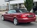 Mercedes-Benz CLK 320 CDI Cabrio Aut. *1.Hand*Scheckheft*Navi Red - thumbnail 8