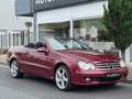 Mercedes-Benz CLK 320 CDI Cabrio Aut. *1.Hand*Scheckheft*Navi Red - thumbnail 4