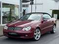 Mercedes-Benz CLK 320 CDI Cabrio Aut. *1.Hand*Scheckheft*Navi Red - thumbnail 1