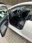 SEAT Ibiza 1.2 TSI Style 4YOU Weiß - thumbnail 8