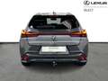 Lexus UX 250h F SPORT Design Gris - thumbnail 6