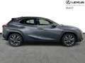 Lexus UX 250h F SPORT Design Gris - thumbnail 16