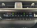 Lexus UX 250h F SPORT Design Gris - thumbnail 27