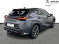 Lexus UX 250h F SPORT Design Gris - thumbnail 17