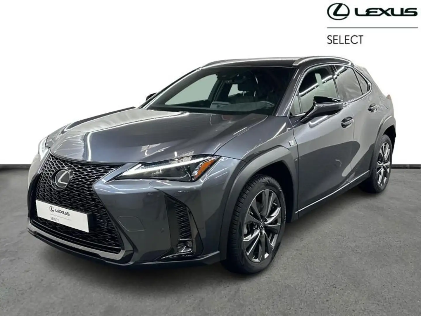Lexus UX 250h F SPORT Design Gris - 1