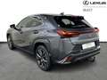 Lexus UX 250h F SPORT Design Gris - thumbnail 3
