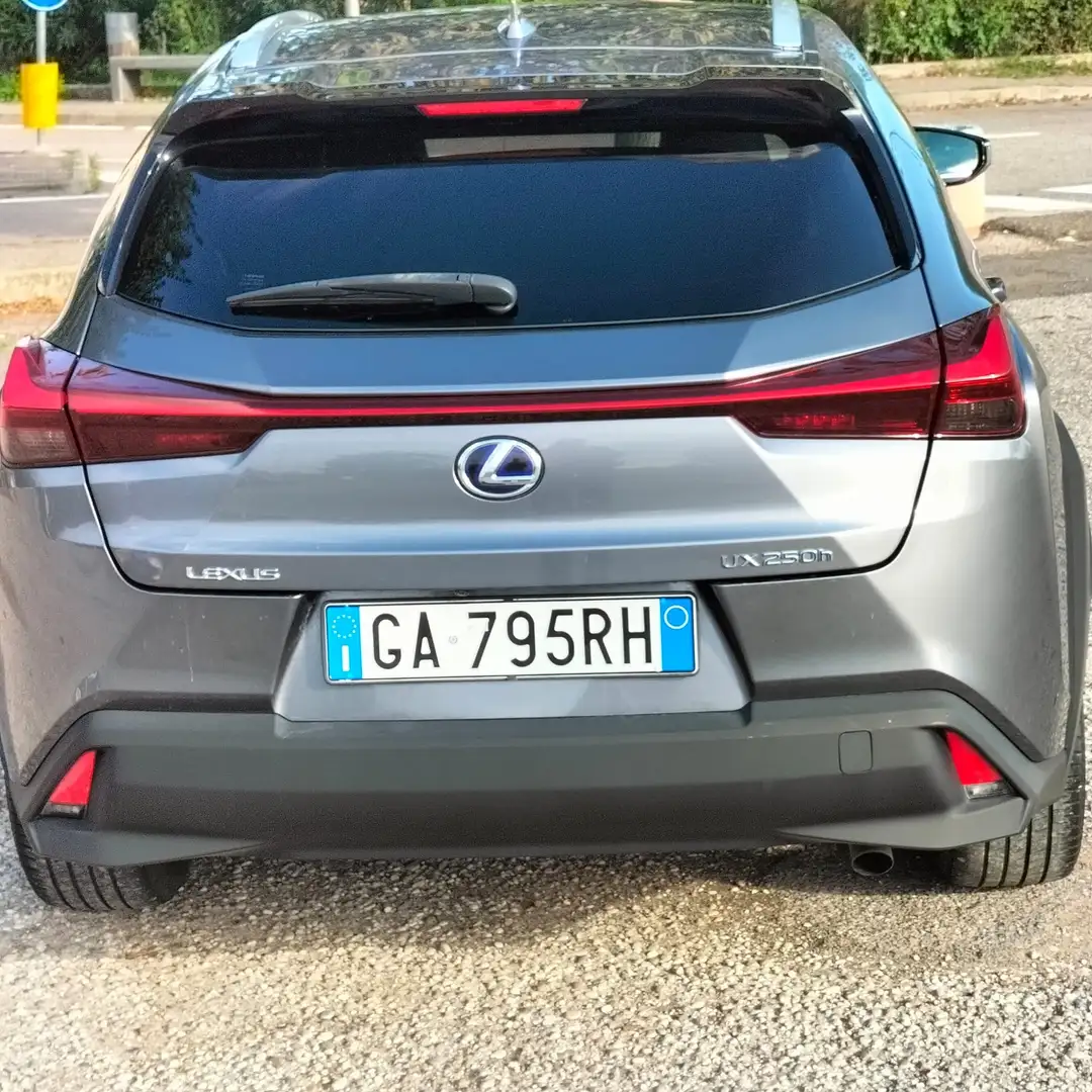 Lexus UX 200 UX 250h 2.0 Premium 4wd cvt my20 Szürke - 2