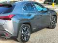 Lexus UX 200 UX 250h 2.0 Premium 4wd cvt my20 Szürke - thumbnail 3