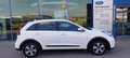 Kia Niro 1,6 GDI HYB. Silber Blanc - thumbnail 3