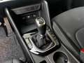Kia Sportage 1.6 TGDI MHEV 150 CV 2WD Business IMT Grau - thumbnail 14