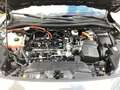 Ford Kuga 2.5 Duratec FHEV 4x4 ST-LINE X AHK schwenkbar LED Grau - thumbnail 13