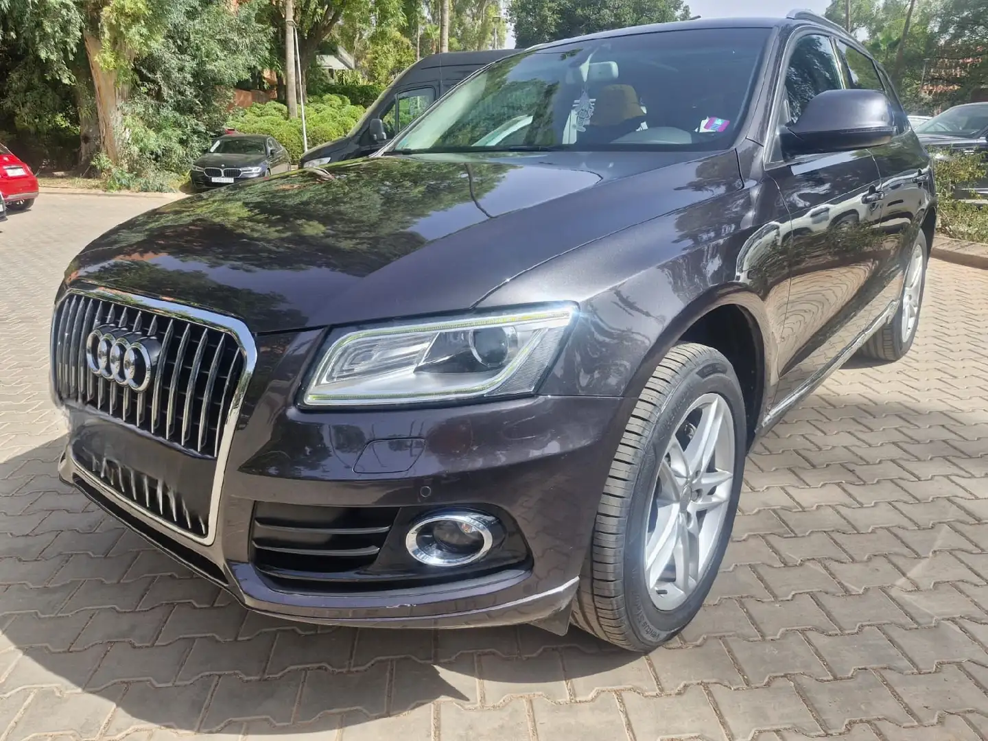 Audi Q5 V6 3.0 TDI 245 Quattro Luxe S tronic 7 - 1