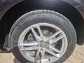 Audi Q5 V6 3.0 TDI 245 Quattro Luxe S tronic 7 - thumbnail 5