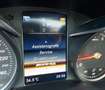 Mercedes-Benz C 250 Lim. AMG LED Leder Panorama Burmester Gris - thumbnail 17