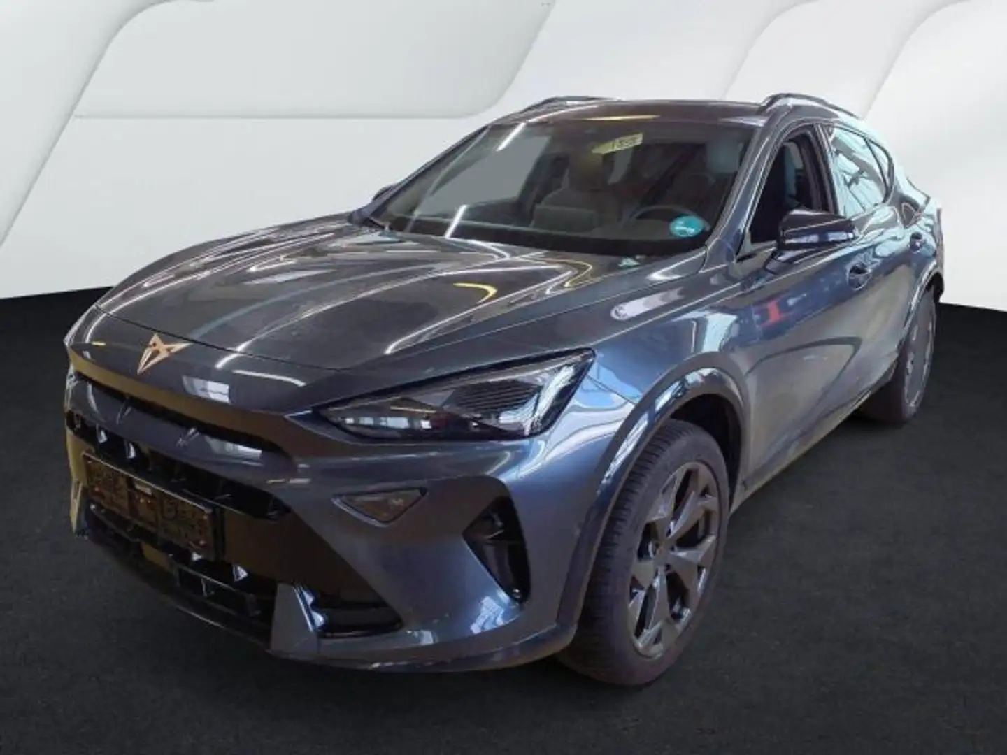CUPRA Formentor 2.0 TDI DSG SIDE-ASSIST SUPER-S 360 eK Grau - 2