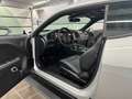 Dodge Challenger 3.6 V6 SXT PLUS/Schiebedach/Memor/R20 Silber - thumbnail 23