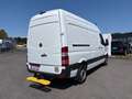 Mercedes-Benz Sprinter 316 CDI,Kaste,L2H2,AHK 3,5T,Standhei. Blanc - thumbnail 5