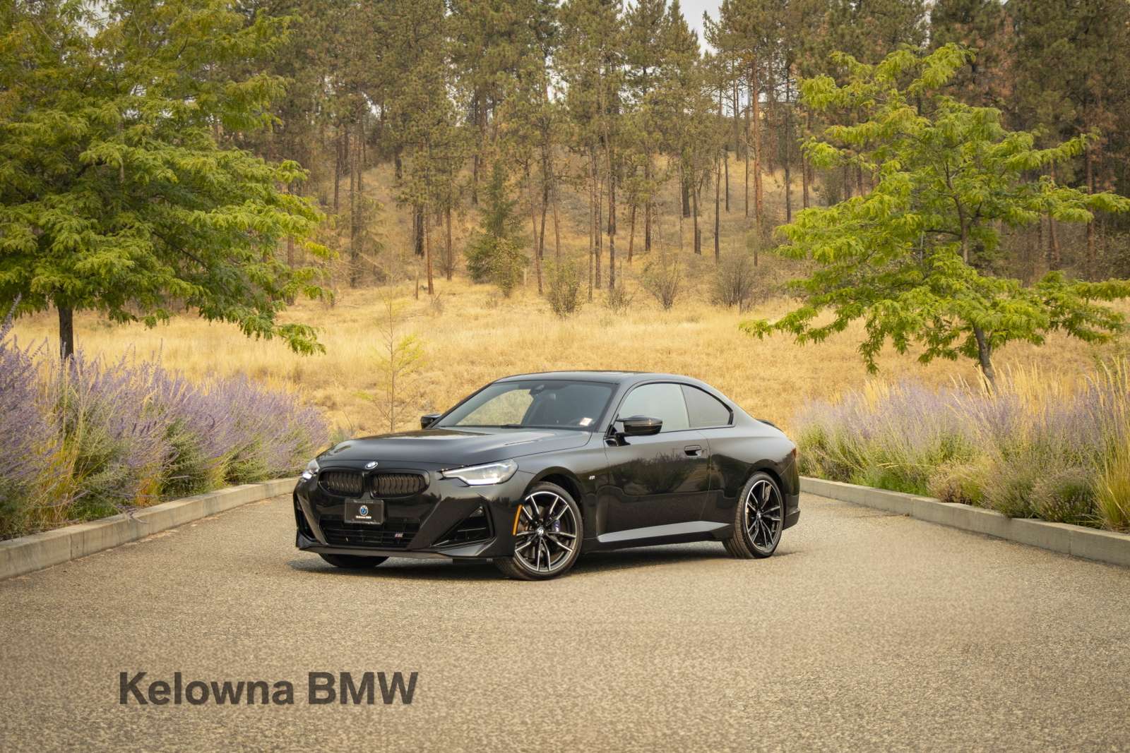 2026 BMW 2 Series M240i xDrive
