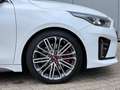 Kia ProCeed / pro_cee'd /NAVI/KAMERA/LEDER/LED Weiß - thumbnail 15