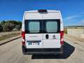 Fiat Ducato 33 2.2 Mjt 140CV PM-TM N1 Semi Vetrato DOPPIA CABI Blanco - thumbnail 6