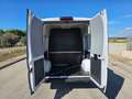 Fiat Ducato 33 2.2 Mjt 140CV PM-TM N1 Semi Vetrato DOPPIA CABI Blanco - thumbnail 7