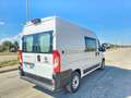 Fiat Ducato 33 2.2 Mjt 140CV PM-TM N1 Semi Vetrato DOPPIA CABI Blanco - thumbnail 5