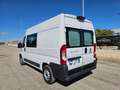 Fiat Ducato 33 2.2 Mjt 140CV PM-TM N1 Semi Vetrato DOPPIA CABI Blanco - thumbnail 9