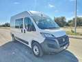 Fiat Ducato 33 2.2 Mjt 140CV PM-TM N1 Semi Vetrato DOPPIA CABI Blanco - thumbnail 3