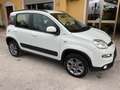 Fiat Panda New Panda 1.3 MJ 4X4 S&S Bianco - thumbnail 3