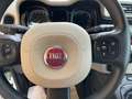 Fiat Panda New Panda 1.3 MJ 4X4 S&S Bianco - thumbnail 14