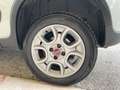 Fiat Panda New Panda 1.3 MJ 4X4 S&S Bianco - thumbnail 7