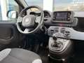 Fiat Panda 1.0D 70cv Nero - thumbnail 5