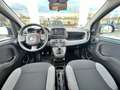Fiat Panda 1.0D 70cv Nero - thumbnail 4