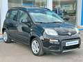 Fiat Panda 1.0D 70cv Nero - thumbnail 1