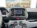Fiat Panda 1.0D 70cv Nero - thumbnail 7