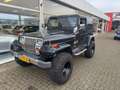 Jeep Wrangler 4.0i Wagon | Benzine LPG | | SUV / Terreinwagen | Negro - thumbnail 1