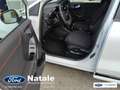 Ford Puma Puma 1.0 ecoboost hybrid ST-Line 125 CV Bianco - thumbnail 13