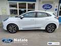 Ford Puma Puma 1.0 ecoboost hybrid ST-Line 125 CV Bianco - thumbnail 3
