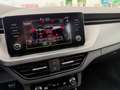 Skoda Scala 1.0 TGI Ambition 66kW Blanco - thumbnail 32